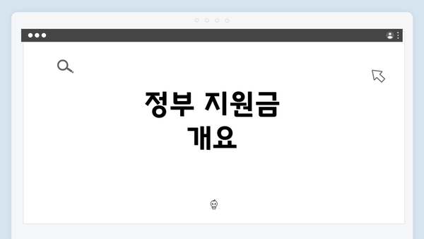 정부 지원금 개요