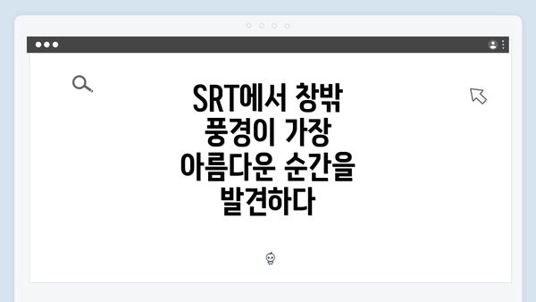 SRT에서 창밖 풍경이 가장 아름다운 순간을 발견하다