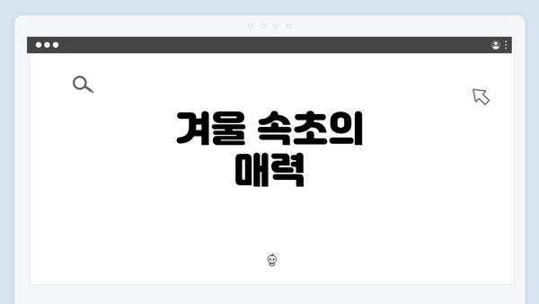 겨울 속초의 매력
