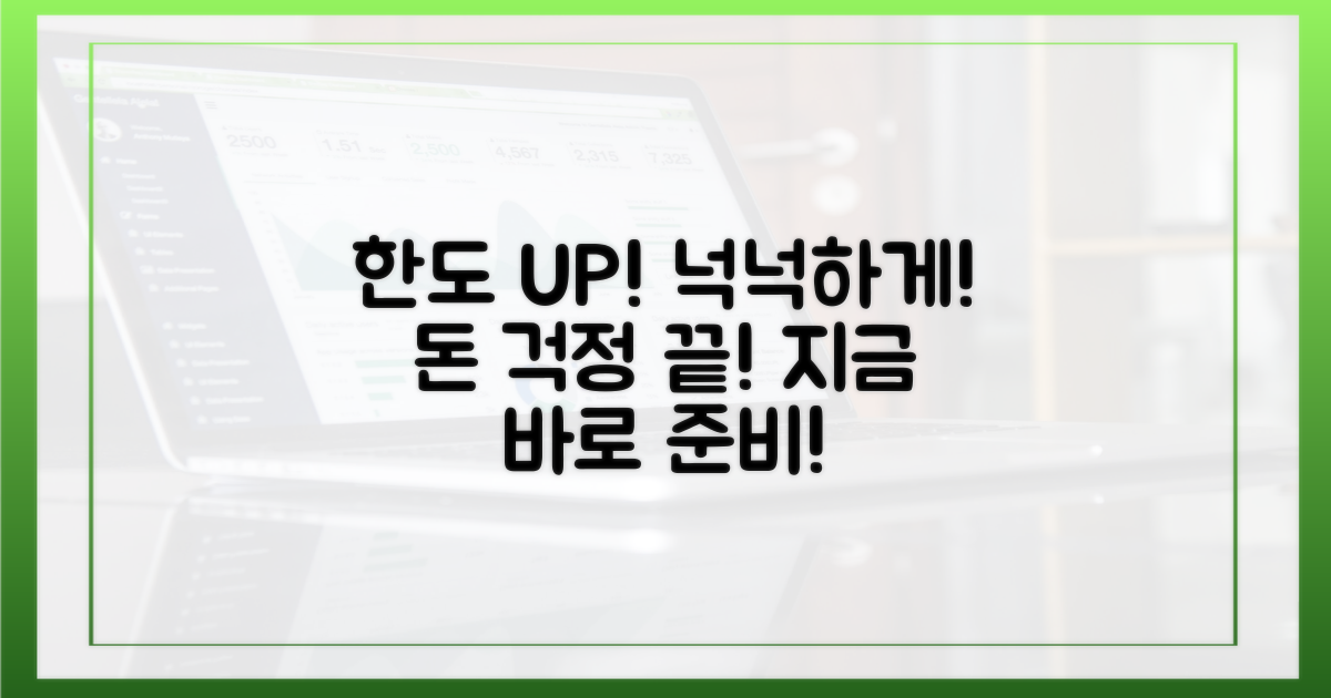1. 한도, 넉넉하게 준비하세요!
