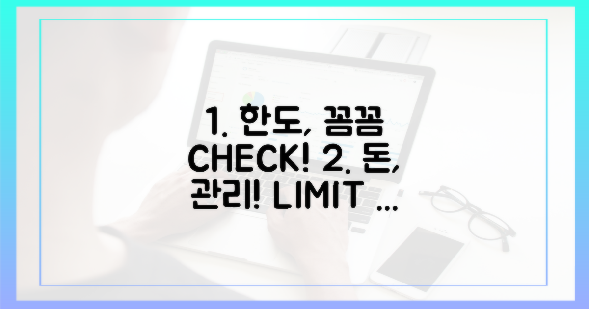 2. 한도, 꼼꼼하게 관리하세요!
