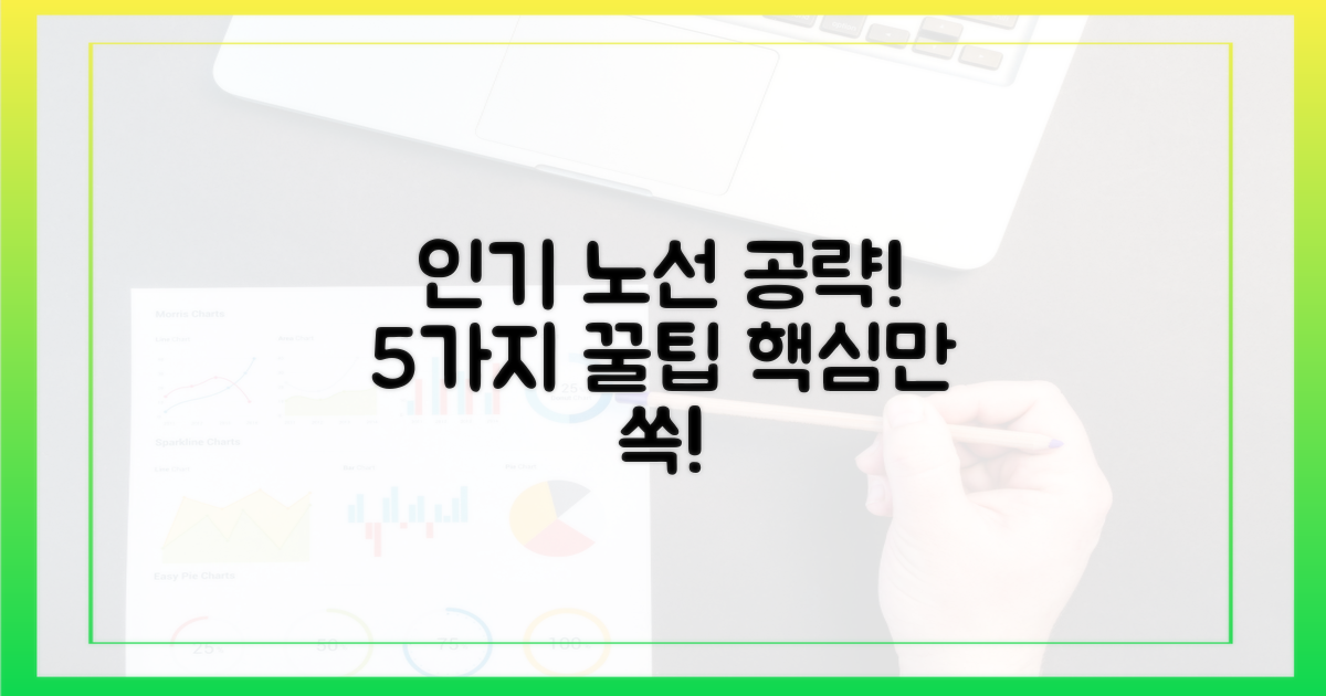 인기 노선 공략, 5가지 팁
