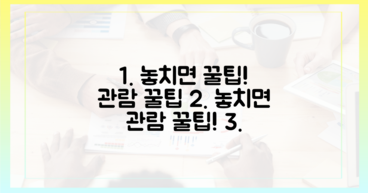 놓치면 후회! 관람 팁