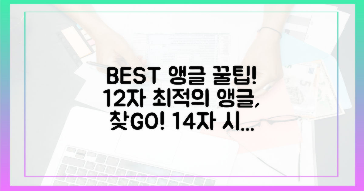 베스트 앵글 소개