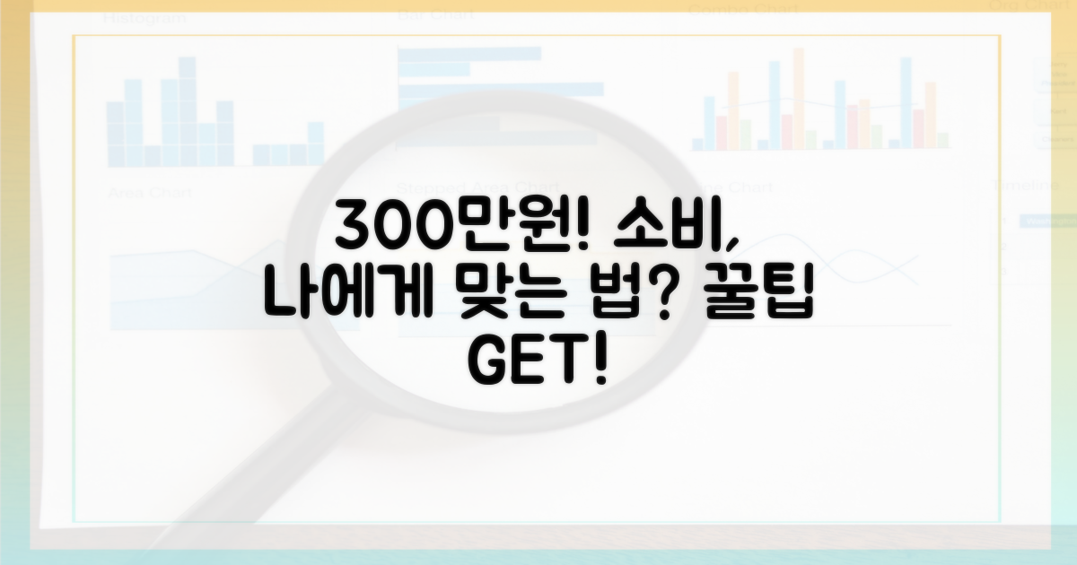 300만원 소비, 나에게 맞는 방법은?
