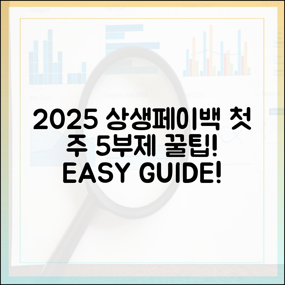2025 상생페이백 완벽 가이드: 첫 주 5부제 꿀팁!