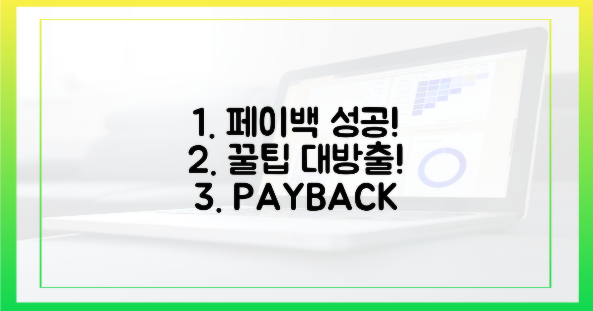 성공적인 페이백, 노하우 공개