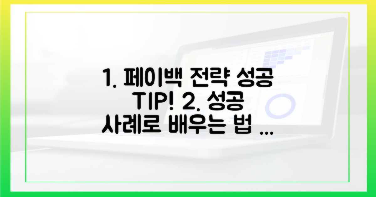 성공 사례로 배우는 페이백 전략